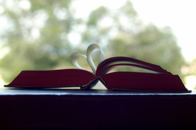Book page heart image for Book Group essay by Noelle Sickels